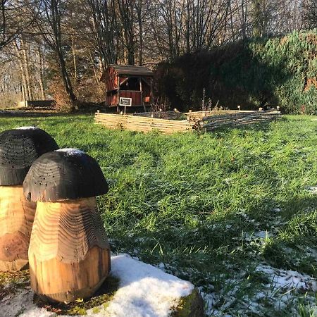 Gite Amelie, Sauna, Spa Au Coeur Des Vosges Housseras Экстерьер фото
